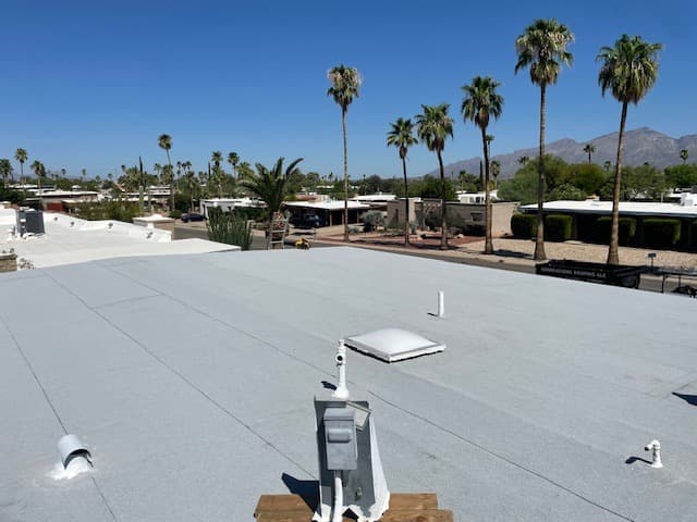 Finished Commercial Built Up Roofing System with Palm Trees